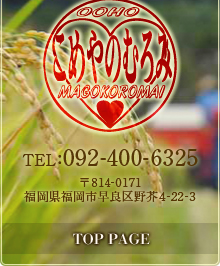 TOP PAGE �� �����s �z�B
