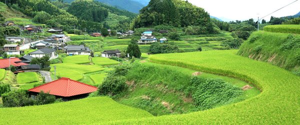 kumamoto